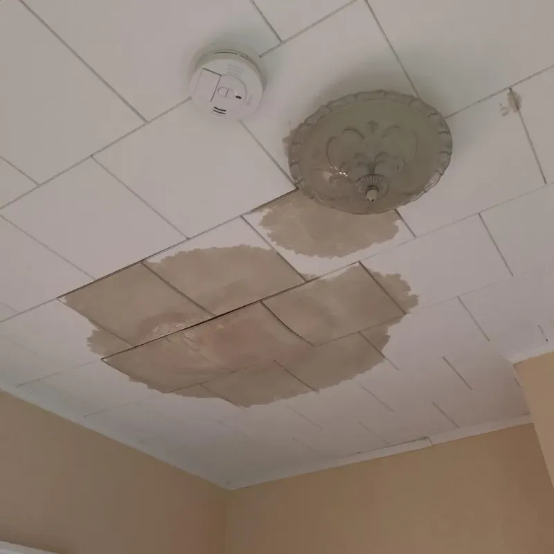 Ceiling Water Damage Repair in Cerro Gordo, IL