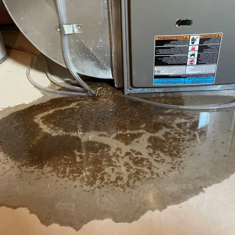 Pipe Burst and Leak Restoration in Cerro Gordo, IL