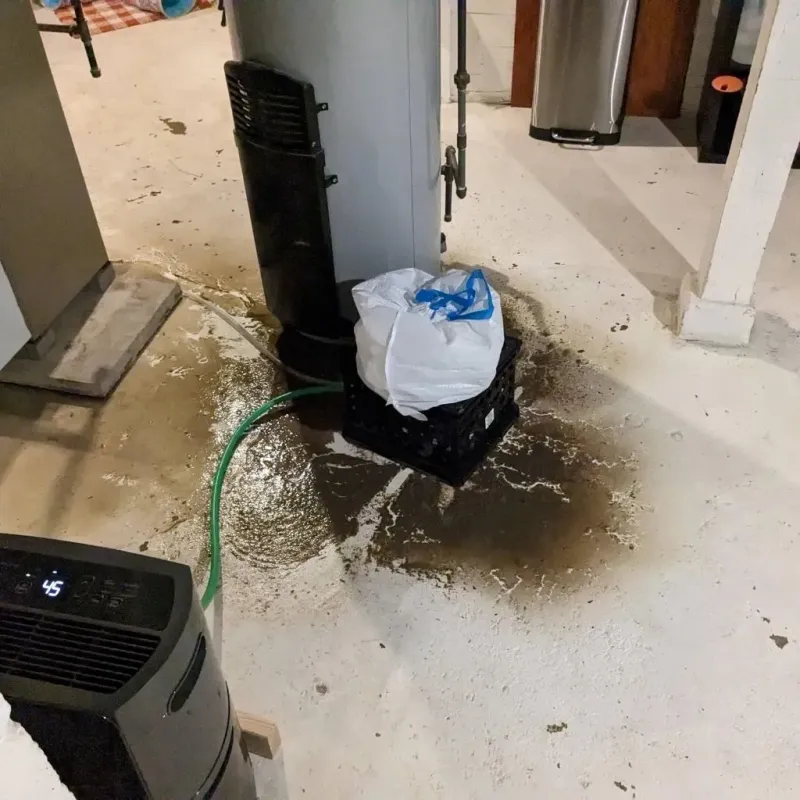 Sewage Backup Cleanup Service in Cerro Gordo, IL